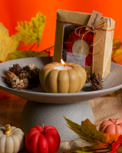 Φόρτωση εικόνας στο εργαλείο προβολής Συλλογής, Concrete Pumpkin