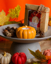 Φόρτωση εικόνας στο εργαλείο προβολής Συλλογής, Concrete Pumpkin