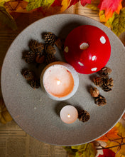 Φόρτωση εικόνας στο εργαλείο προβολής Συλλογής, Concrete Mushroom Candle