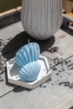 Φόρτωση εικόνας στο εργαλείο προβολής Συλλογής, Sea Shell (Σετ 2 τμχ)