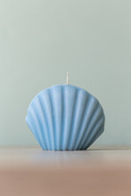 Φόρτωση εικόνας στο εργαλείο προβολής Συλλογής, Sea Shell (Σετ 2 τμχ)