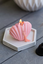 Φόρτωση εικόνας στο εργαλείο προβολής Συλλογής, Sea Shell (Σετ 2 τμχ)