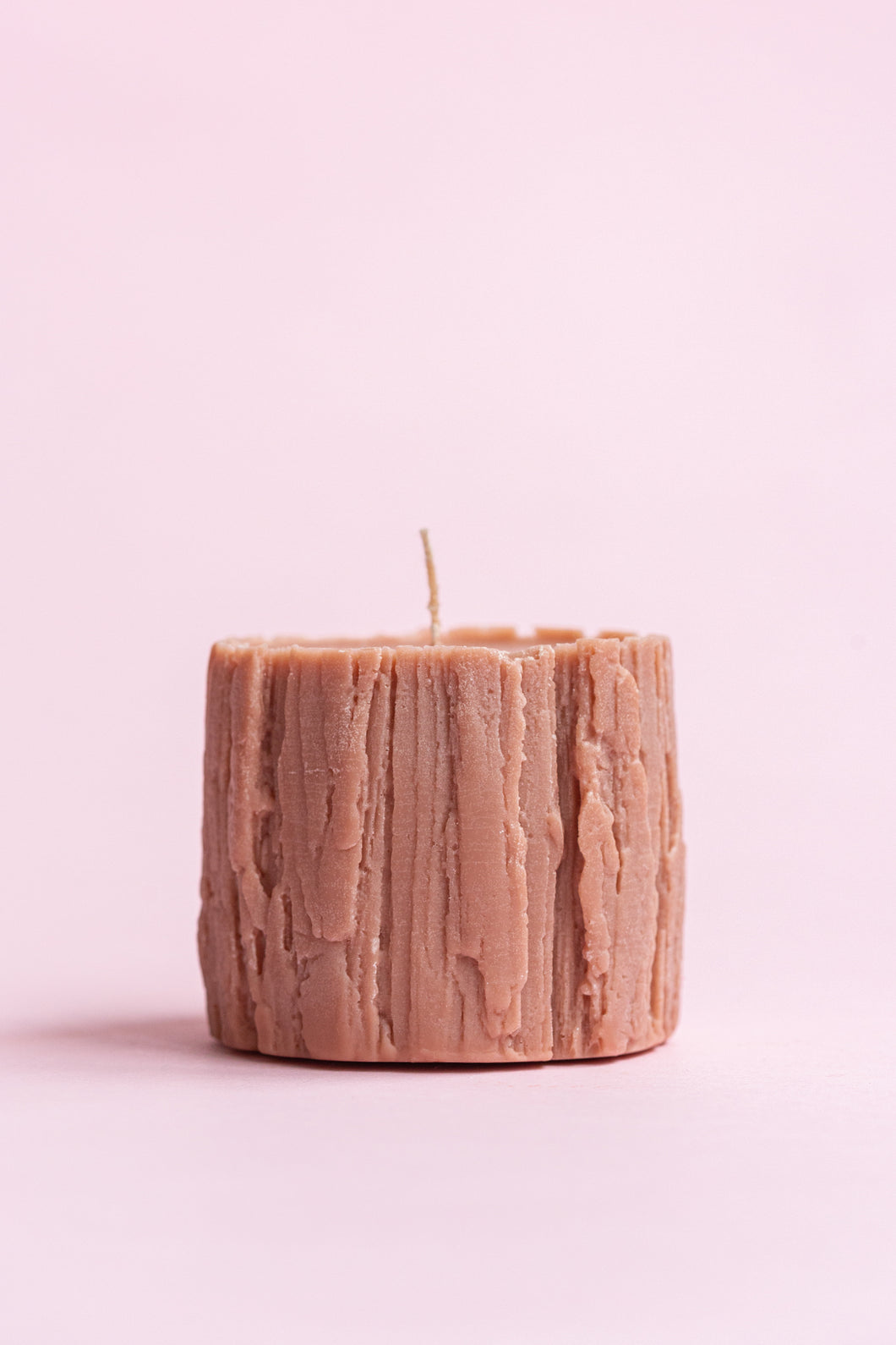 Tree Trunk